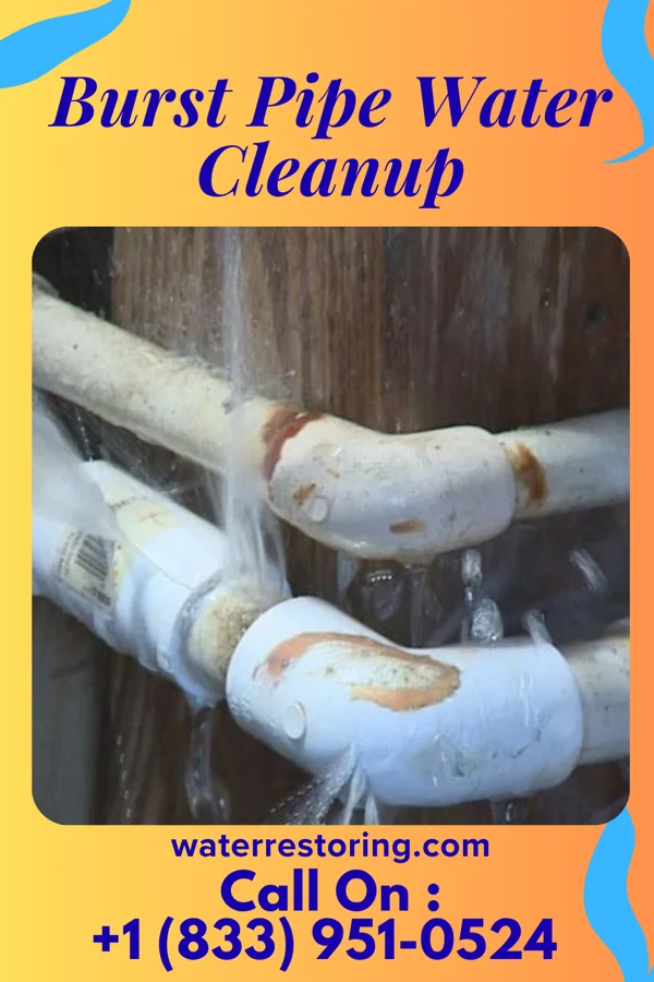 Burst Pipe Water Cleanup in Gettysburg, OH